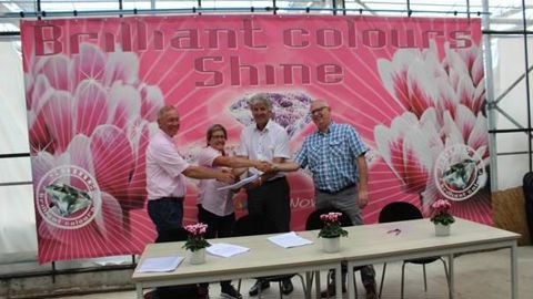 L’acquisition de Varinova est stratégique pour Syngenta Flowers, qui se consacrera au développement d’innovations sur le marché du cyclamen. (c) Syngenta Flowers